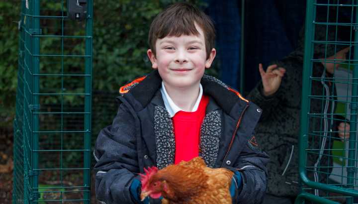 Pupil Holding Chicken